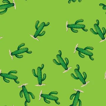 Pattern cactus plant sketch hand drawn Stock Illustration