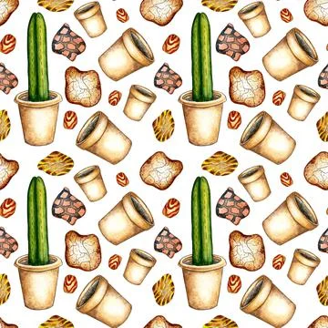 Pattern cactus pots and stones watercolor Stock Illustration
