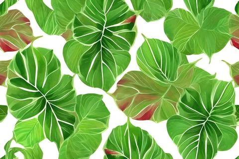 Pattern of Caladium multicolored leaves Stock Illustration