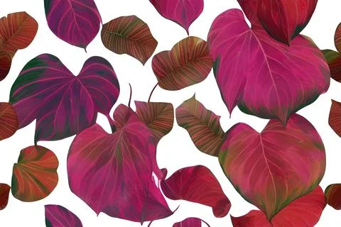 Pattern of Caladium multicolored leaves Stock Illustration