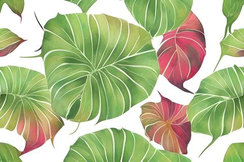 Pattern of Caladium multicolored leaves Stock Illustration