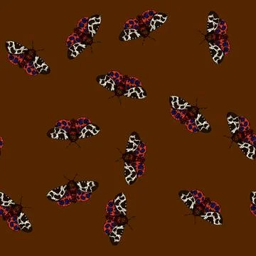 Pattern camouflage night moth sketch hand drawn Stock Illustration