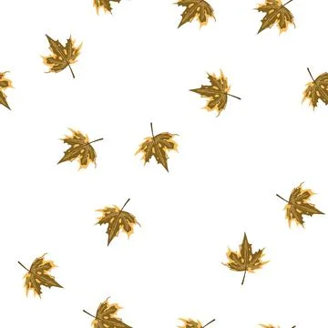 Pattern canadian maple leaf cartoon vector Stockillustratie