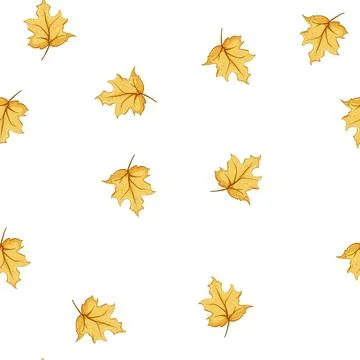 Pattern canadian maple leaf cartoon vector Stock Illustration