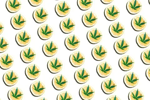 Pattern with Cannabis or hemp leafs with lemon, Marijuana terpenes concept Stock Illustration