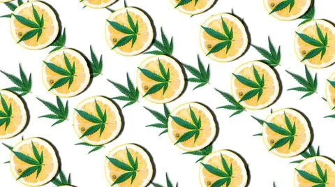 Pattern with Cannabis or hemp leafs with lemon, Marijuana terpenes concept 스톡 일러스트