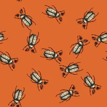 Pattern carapace beetle sketch hand drawn Stock Illustration