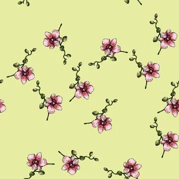 Pattern cattleya orchid sketch hand drawn Stock Illustration