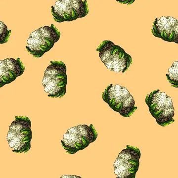 Pattern cauliflower white food sketch hand drawn Stock Illustration
