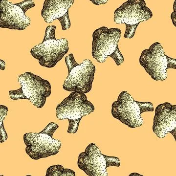Pattern cauliflower white raw sketch hand drawn Stock Illustration