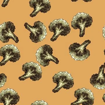 Pattern cauliflower white vegan sketch hand drawn Stock Illustration