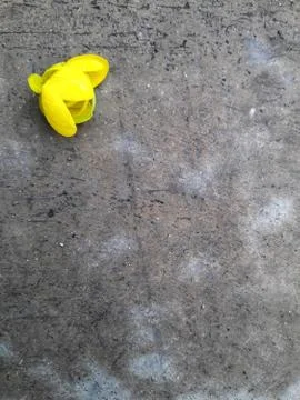 Pattern of cement ground  With a single flower Stock Photos