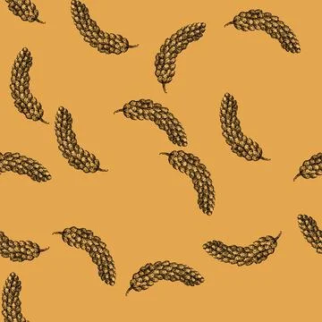 Pattern cereal millet sketch hand drawn Stock Illustration