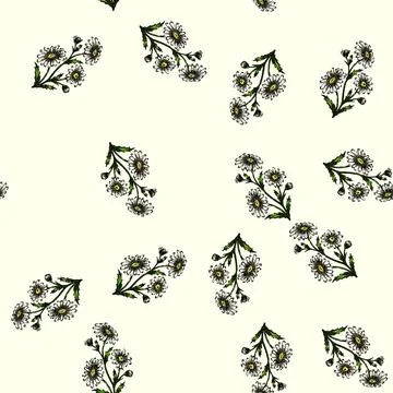 Pattern chamomile daisy flower sketch hand drawn 스톡 일러스트