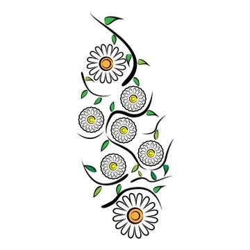 Pattern of chamomile flowers, leaves, stems on white background Stock Illustration