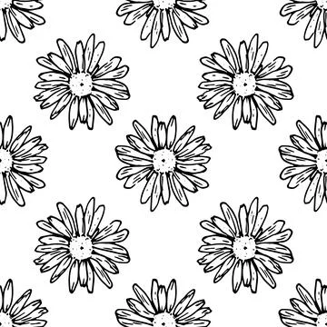 A pattern of chamomile flowers. seamless pattern of Wild daisy flower sketch Stock Illustration