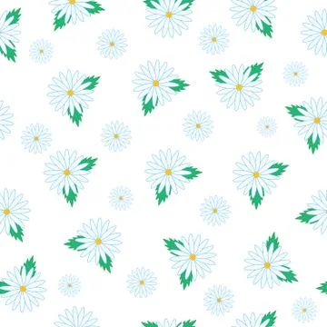 Pattern - chamomile flowers on a white background Stock Illustration