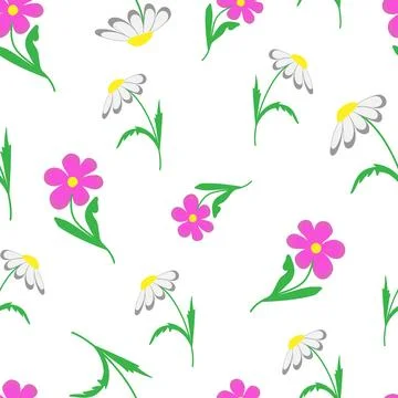 Pattern chamomiles and kosmeya flowers Stock Illustration