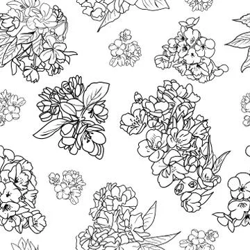 Pattern of cherry and apple tree blossom and branch sketch Stock-Illustration
