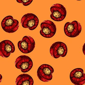 Pattern cherry pit sketch hand drawn イラスト素材