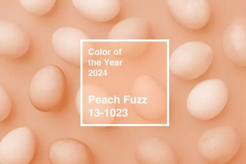Pattern of chicken eggs top view photo toned n Peach fuzz color of the Year 2024 写真素材