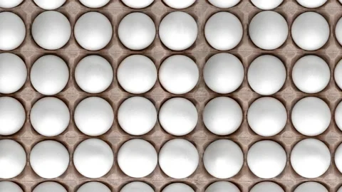 Pattern with chicken raw eggs in carton recyclable cardboard box Stock Footage 147992835