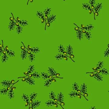 Pattern chickpea hummus plant sketch hand drawn 스톡 일러스트