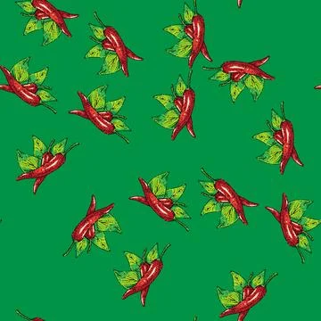 Pattern chili pepper sketch hand drawn Stock Illustration