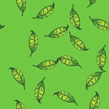 Pattern chinese tea leaf sketch hand drawn Stockillustratie