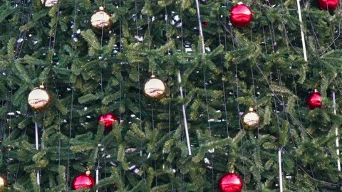 Pattern of Christmas tree branchrs with balls. Stock Footage 169793743
