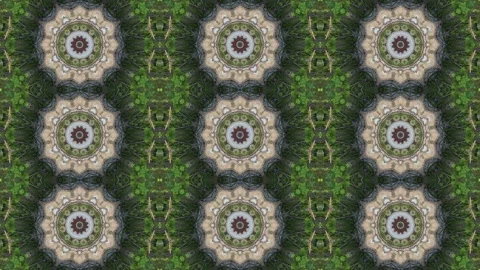 Pattern of circles and squares made of green leaves Stock Footage 321390304