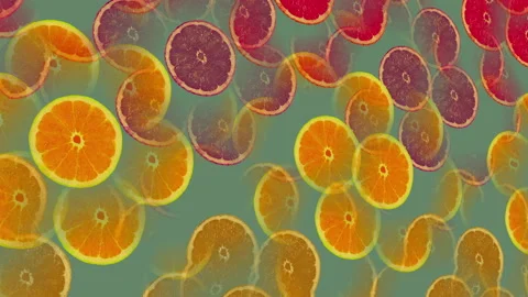 Pattern of Citrus Fruits Particals Motion Loop Abstract Background Stock Footage 211757963