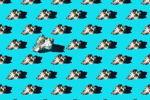 Pattern of clam shells on a cyan background. Stock Photos