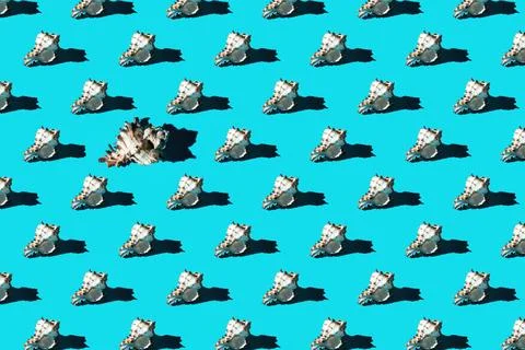 Pattern of clam shells on a cyan background. Stock Photos