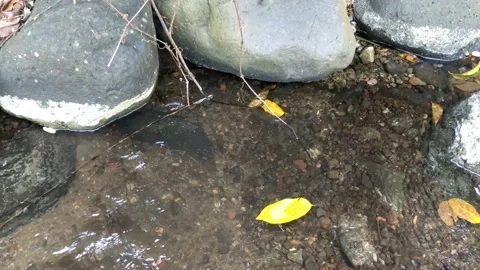 Pattern of clear water flow in the rock 4 Stock Footage 208525487