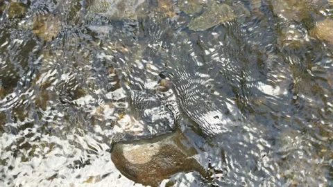 Pattern of clear water flow in the rock 7 Stock Footage 208528547