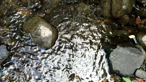 Pattern of clear water flow in the rock 10 Stock Footage 208528574
