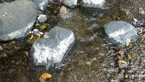 Pattern of clear water flow in the rock 12 Stock Footage 208528999