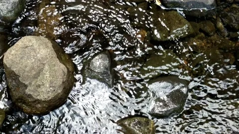 Pattern of clear water flow in the rock 13 Stock Footage 208529579