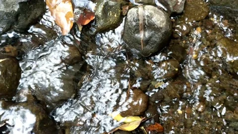 Pattern of clear water flow in the rock 17 Stock Footage 208531540