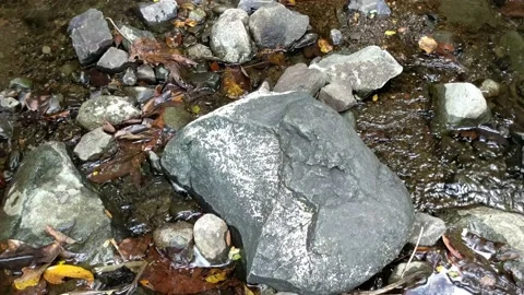 Pattern of clear water flow in the rock 18 Stock Footage 208531672