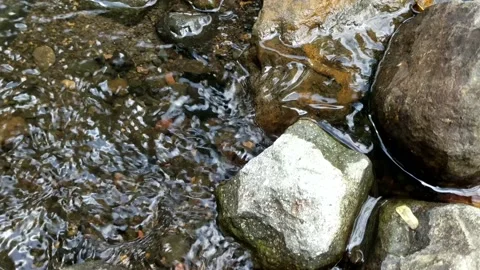 Pattern of clear water flow in the rock 21 Stock Footage 208533737