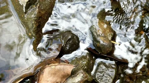 Pattern of clear water flow in the rock 24 Stock Footage 208533847