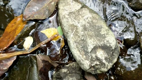Pattern of clear water flow in the rock 25 库存影片 208536224