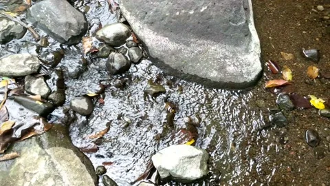 Pattern of clear water flow in the rock 26 库存影片 208537420