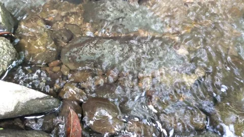 Pattern of clear water flow in the rock 27 Stock Footage 208537421