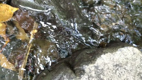 Pattern of clear water flow in the rock 28 Stock Footage 208538178