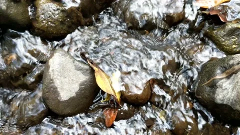 Pattern of clear water flow in the rock 29 Stock Footage 208538182