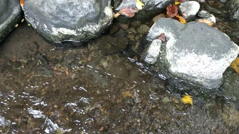 Pattern of clear water flow in the rock 33 Video stock 208539789