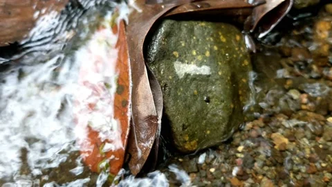 Pattern of clear water flow in the rock 42 Stock Footage 208549192